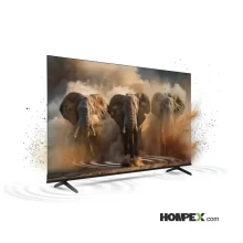 تلویزیون هوشمند کلور مدل CTV-75UHJS2 سایز 75 اینچ