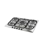 گاز صفحه ای اخوان مدل G42