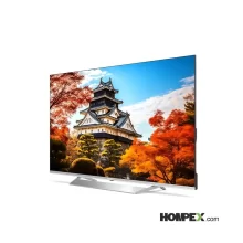 تلویزیون هوشمند 50 اینچ آیوا aiwa ZQ X5D 50